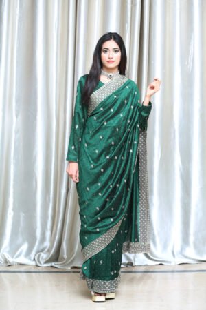 Saree dress